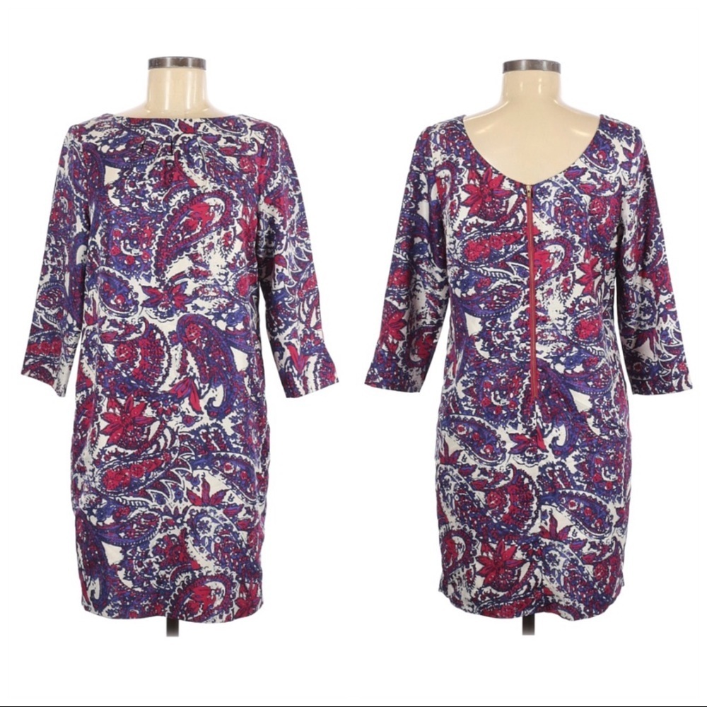 The Limited 3/4 Sleeve Paisley Shift Dress Size Small